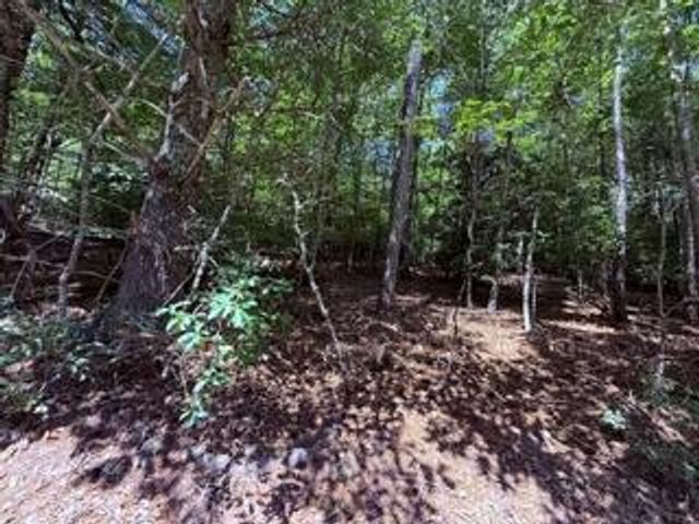 3.87 AC Skeenah Highlands Road, Blairsville, GA 30512