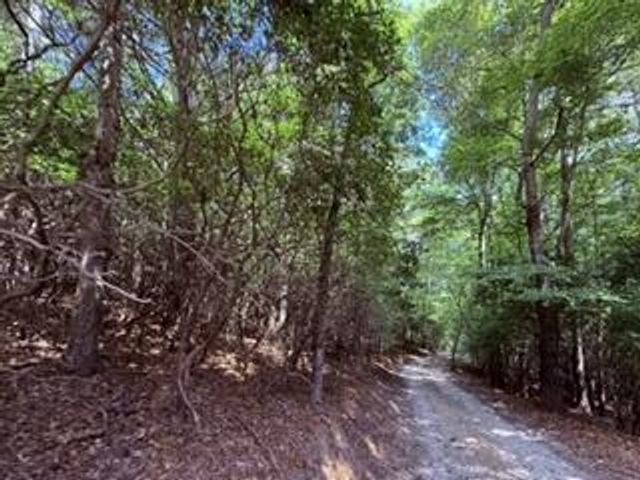 3.87 AC Skeenah Highlands Road, Blairsville, GA 30512