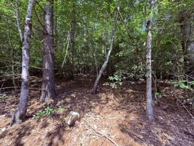 3.87 AC Skeenah Highlands Road, Blairsville, GA 30512