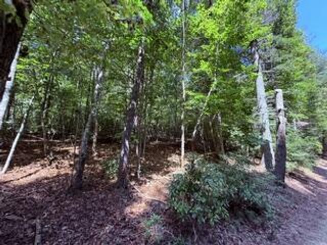 3.87 AC Skeenah Highlands Road, Blairsville, GA 30512