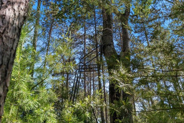 E6889 GUTH ROAD, Weyauwega, WI 54983