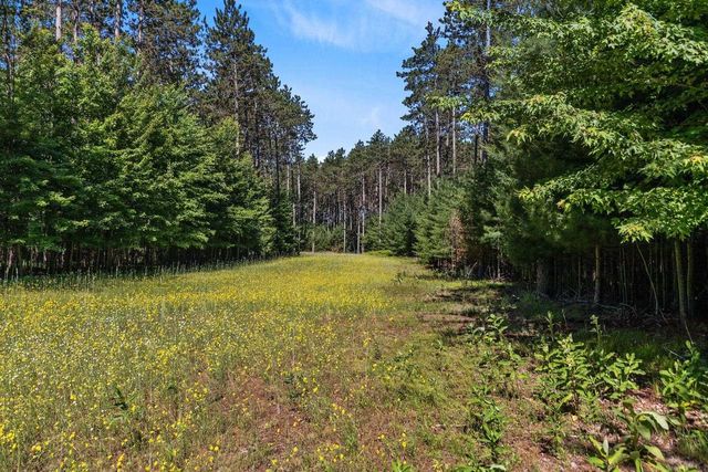 E6889 GUTH ROAD, Weyauwega, WI 54983