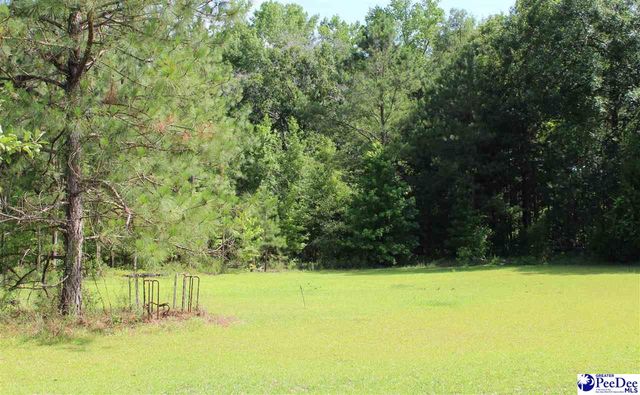 110 Bubba Road, Marion, SC 29571