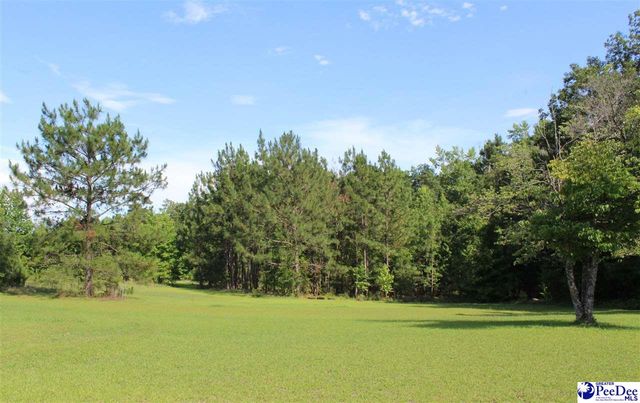 110 Bubba Road, Marion, SC 29571