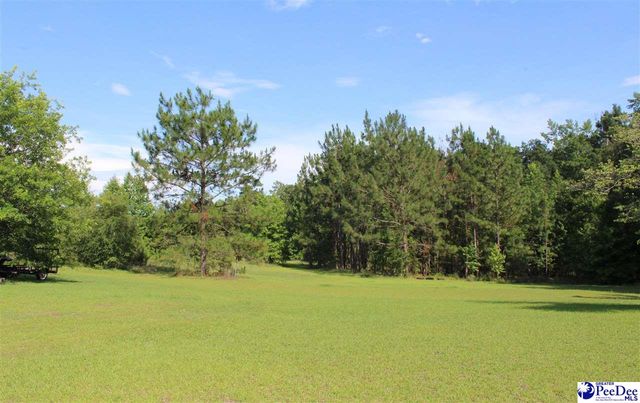 110 Bubba Road, Marion, SC 29571