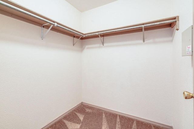 11976 Mesquite Bush Drive, El Paso, TX 79934