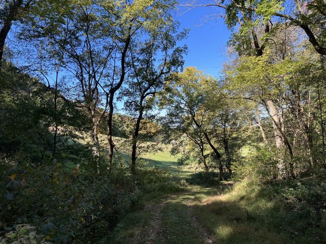 2297 Allisona Rd, Eagleville, TN 37060