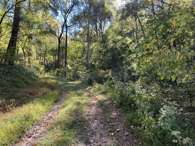 2297 Allisona Rd, Eagleville, TN 37060