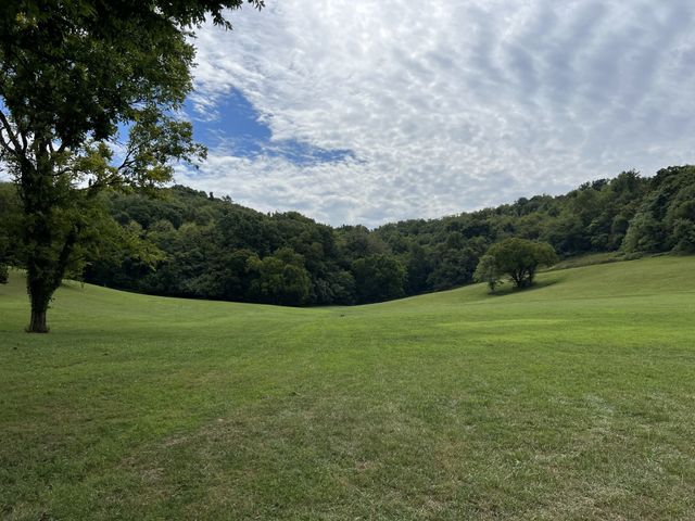 2297 Allisona Rd, Eagleville, TN 37060