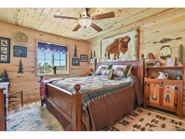150 Julia Rd, Guffey, CO 80820