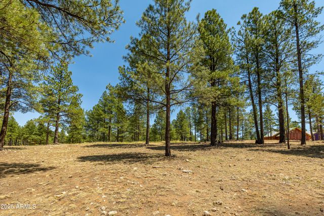 3671 S Woodland Hills Drive 364, Flagstaff, AZ 86005
