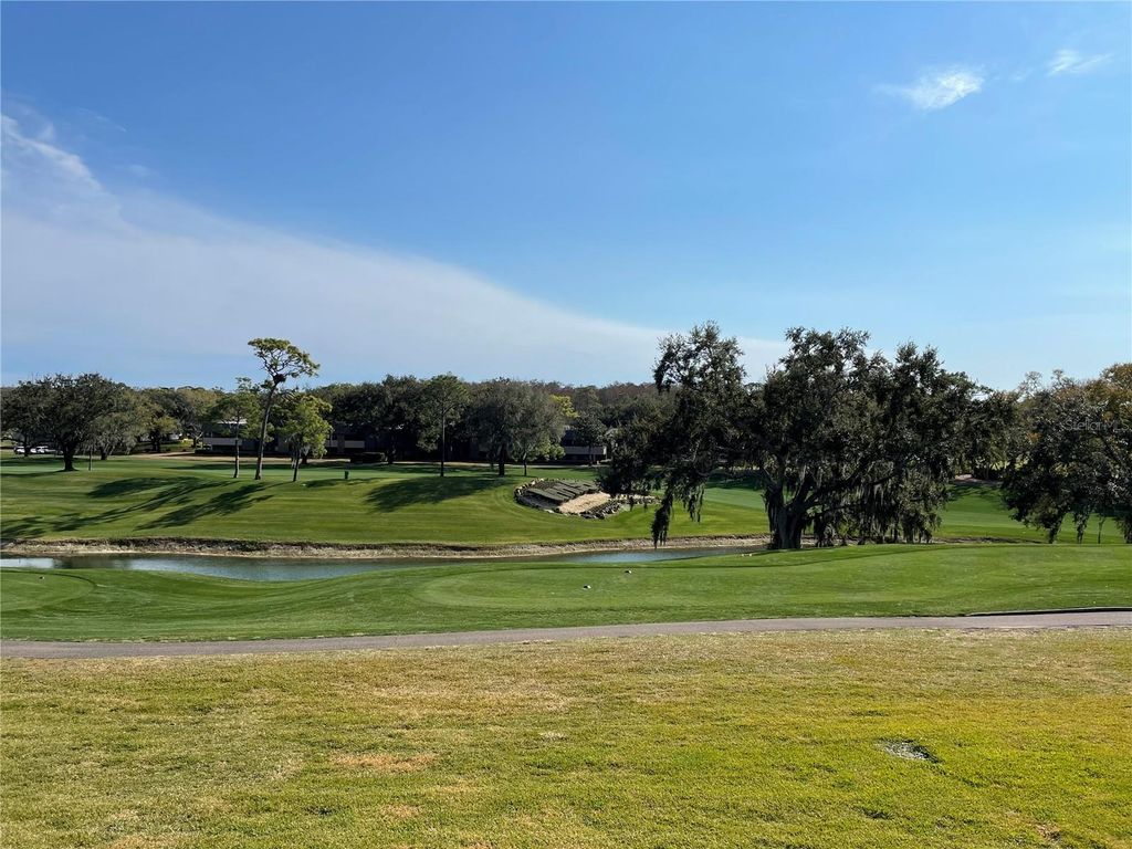 36750 US HIGHWAY 19 N 14-211, Palm Harbor, FL 34683