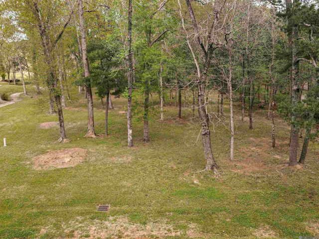 19537 Creek Round Ave, Baton Rouge, LA 70817