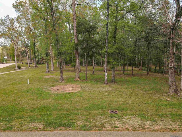 19537 Creek Round Ave, Baton Rouge, LA 70817