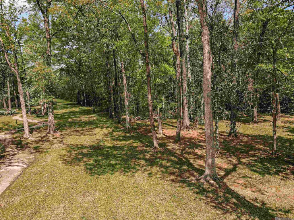 19537 Creek Round Ave, Baton Rouge, LA 70817