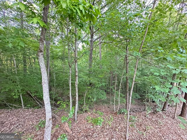 9550 Grande Drive, Winston, GA 30187