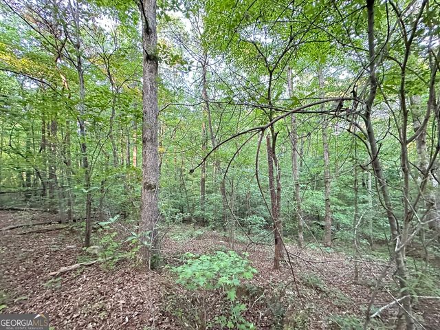 9550 Grande Drive, Winston, GA 30187