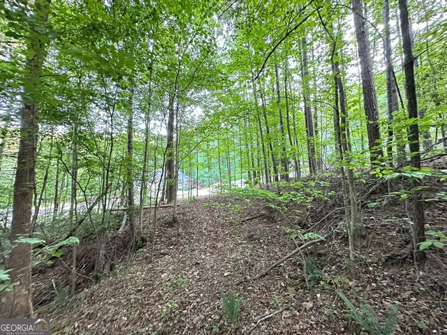9550 Grande Drive, Winston, GA 30187