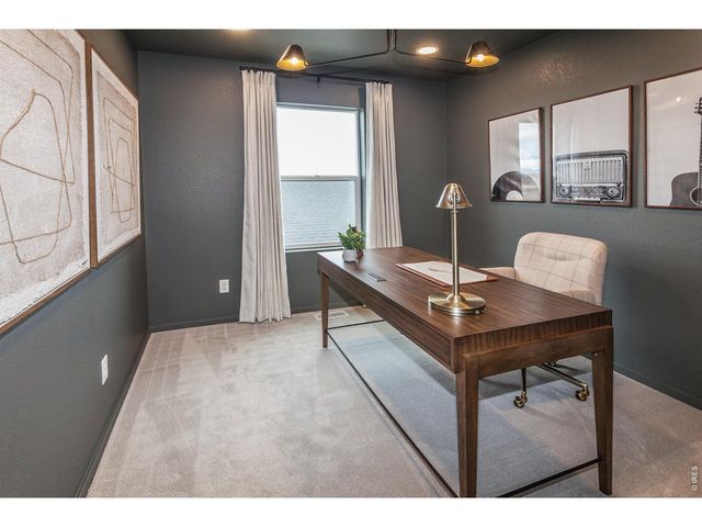 932 Trumpet Ln, Windsor, CO 80550
