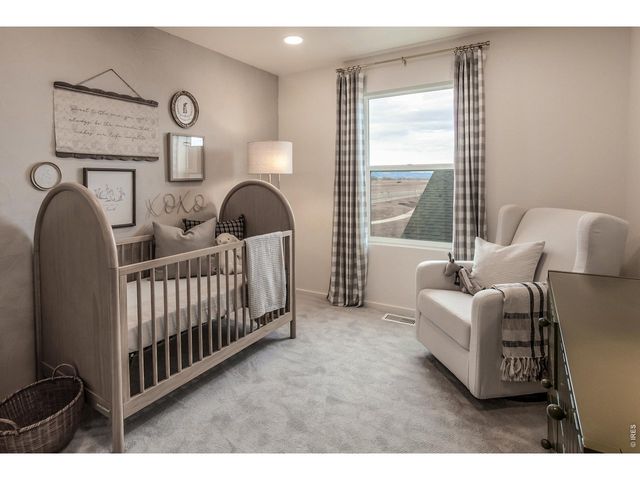 932 Trumpet Ln, Windsor, CO 80550