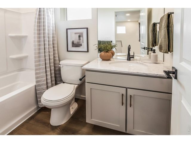 932 Trumpet Ln, Windsor, CO 80550