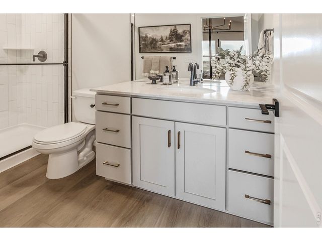 932 Trumpet Ln, Windsor, CO 80550