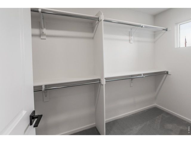 932 Trumpet Ln, Windsor, CO 80550