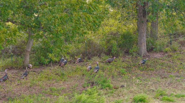 12194 Gholson Road, Waco, TX 76705