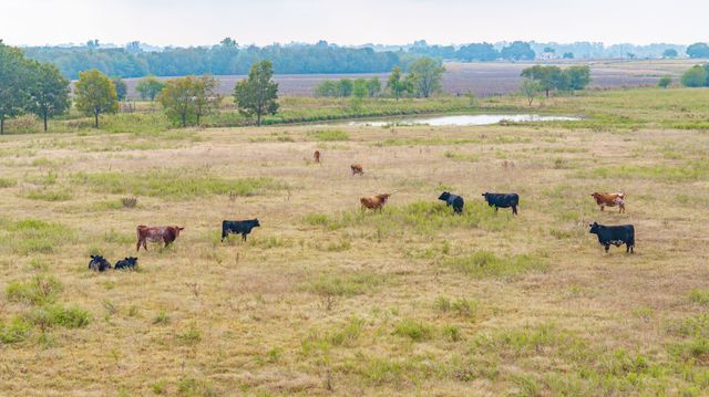 12194 Gholson Road, Waco, TX 76705