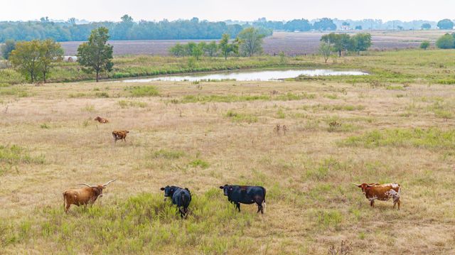 12194 Gholson Road, Waco, TX 76705