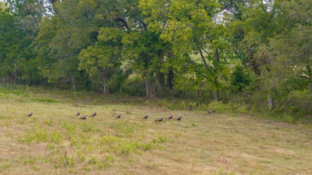 12194 Gholson Road, Waco, TX 76705