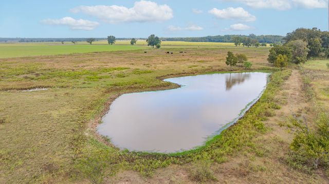 12194 Gholson Road, Waco, TX 76705