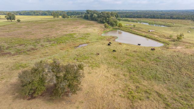 12194 Gholson Road, Waco, TX 76705
