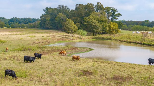 12194 Gholson Road, Waco, TX 76705