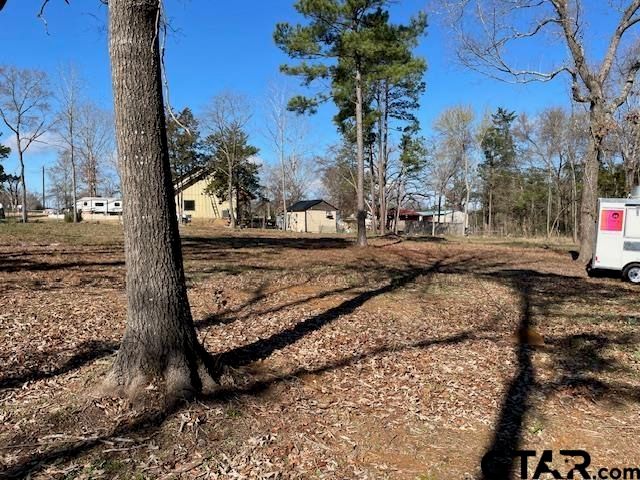 17767 Turner Cir, Tyler, TX 75704