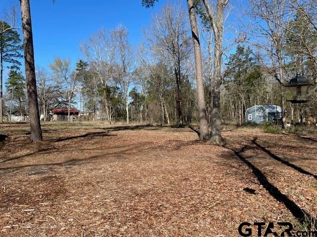 17767 Turner Cir, Tyler, TX 75704