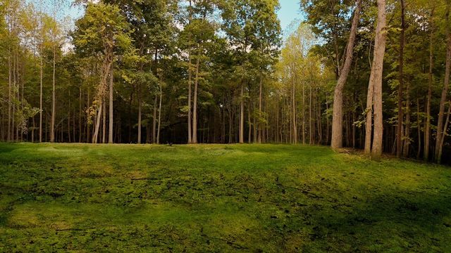7962 Bill Moss Rd, White House, TN 37188