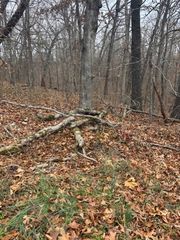 Exmoor Lane, Bella Vista, AR 72715