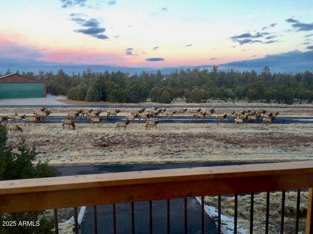 2335 Voyager Circle, Overgaard, AZ 85933