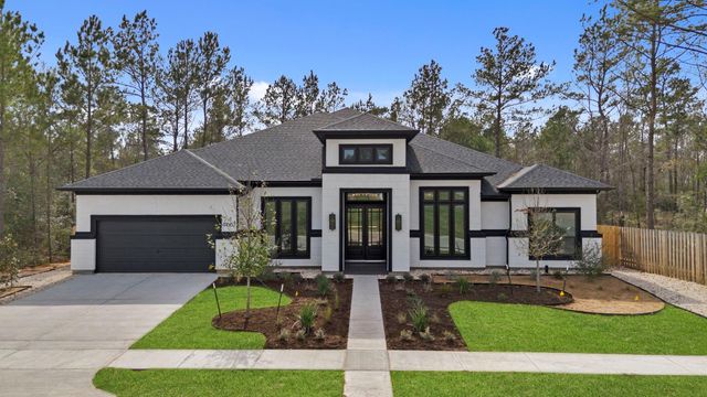 41663 Wendele Way, Todd Mission, TX 77316