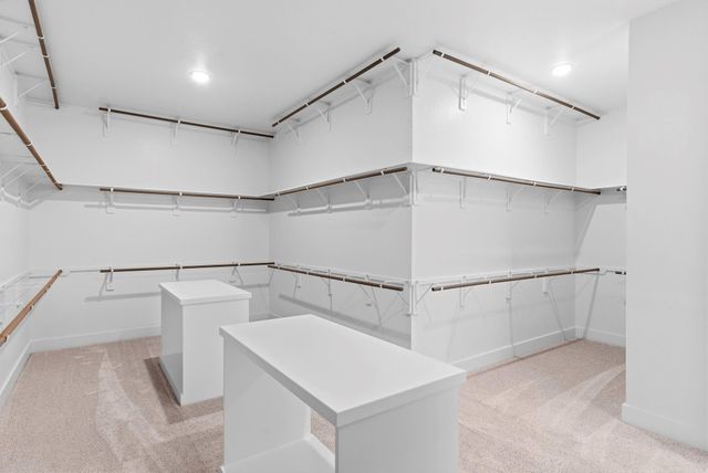 41663 Wendele Way, Todd Mission, TX 77316