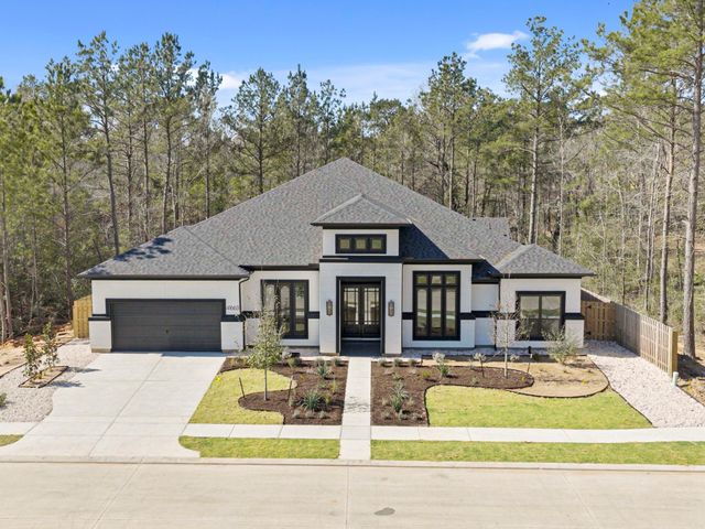 41663 Wendele Way, Todd Mission, TX 77316