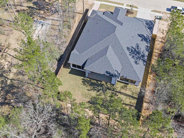 41663 Wendele Way, Todd Mission, TX 77316