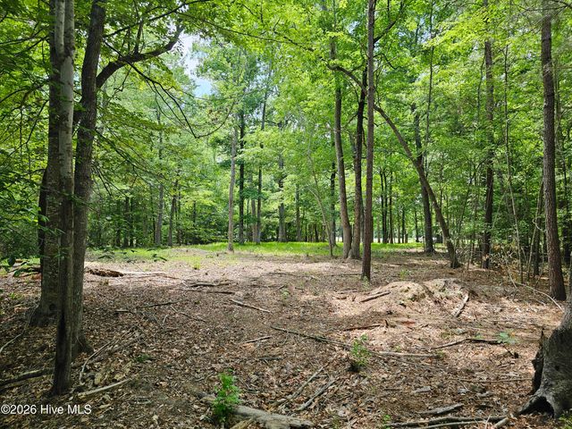 Lot 58 See View Lane, Hertford, NC 27944