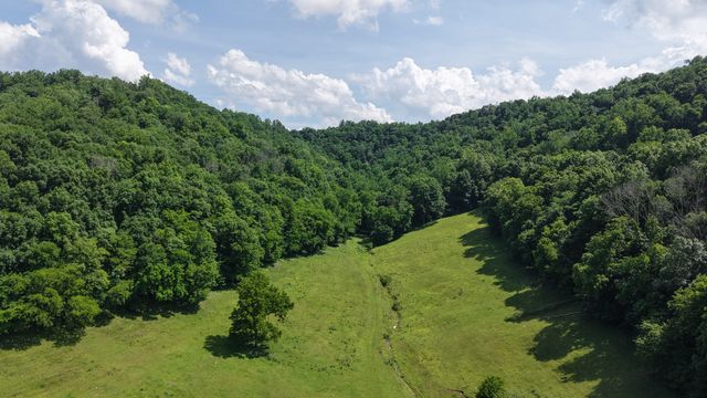 1358 Dry Branch Rd, Dixon Springs, TN 37057