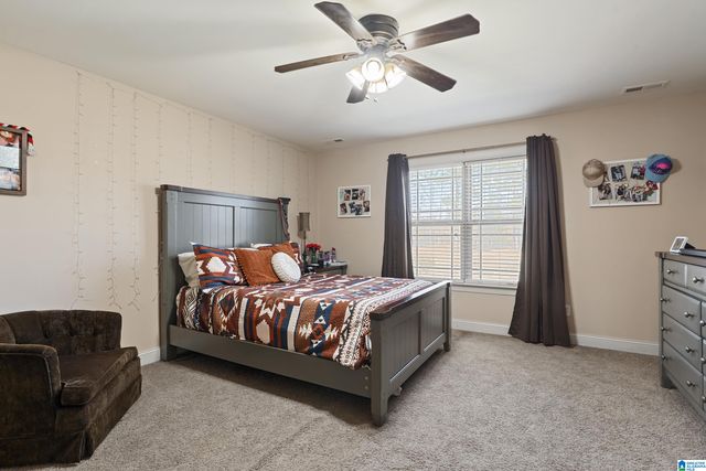 160 HITCHING POST CIRCLE, Cropwell, AL 35054