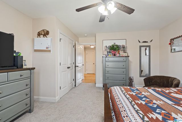 160 HITCHING POST CIRCLE, Cropwell, AL 35054