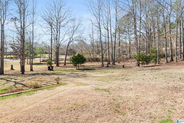 160 HITCHING POST CIRCLE, Cropwell, AL 35054