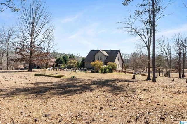 160 HITCHING POST CIRCLE, Cropwell, AL 35054