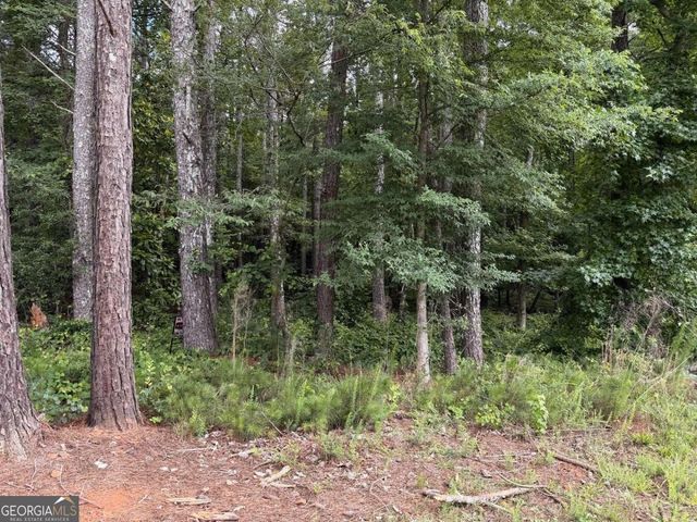 0 Maddox, Hoschton, GA 30548